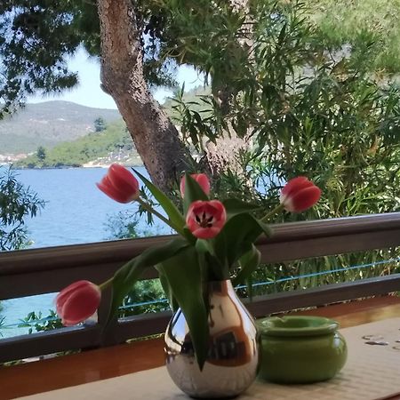 Holiday Home Milenka ロゴズニッツァ エクステリア 写真