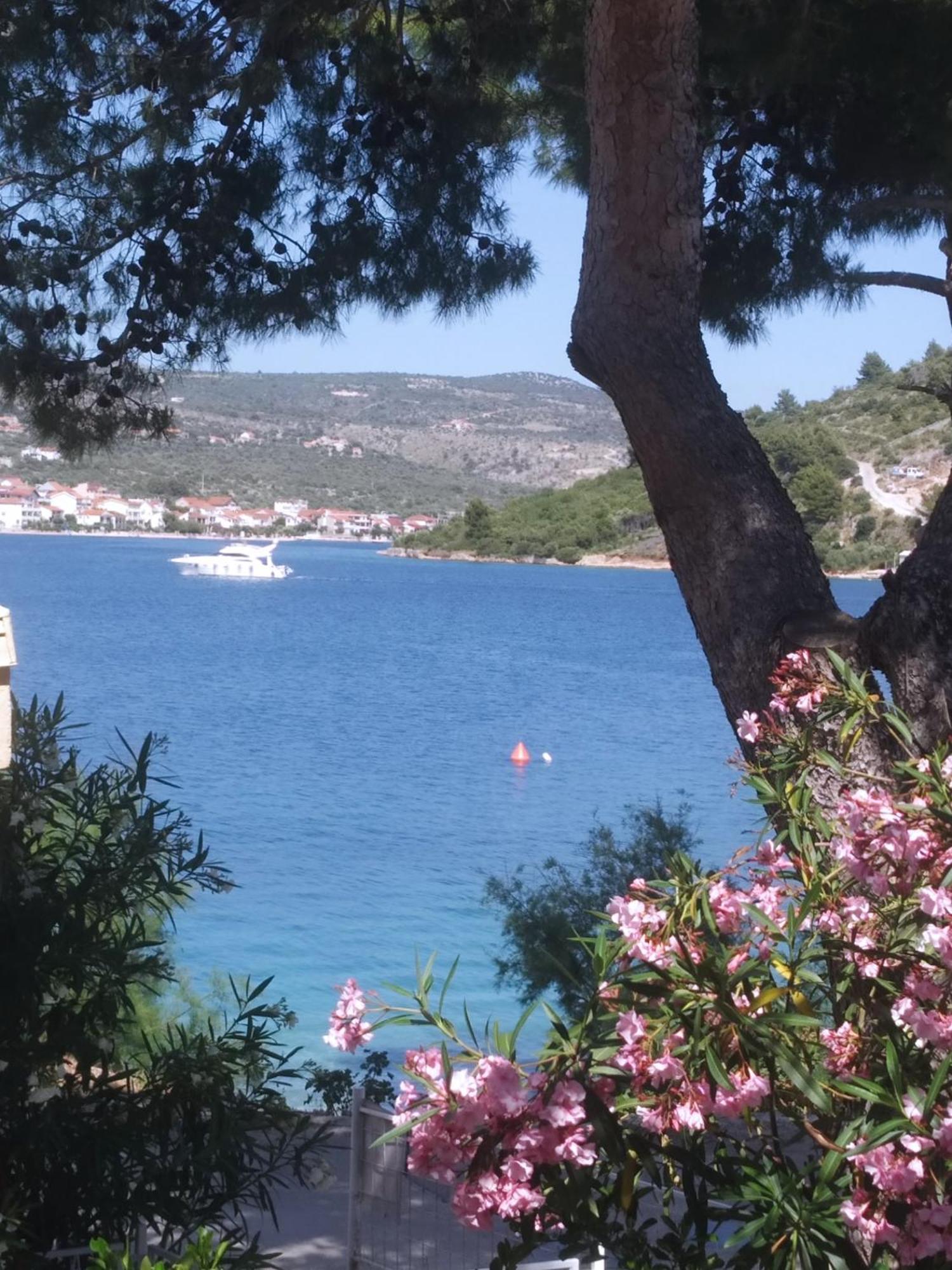 Holiday Home Milenka ロゴズニッツァ エクステリア 写真