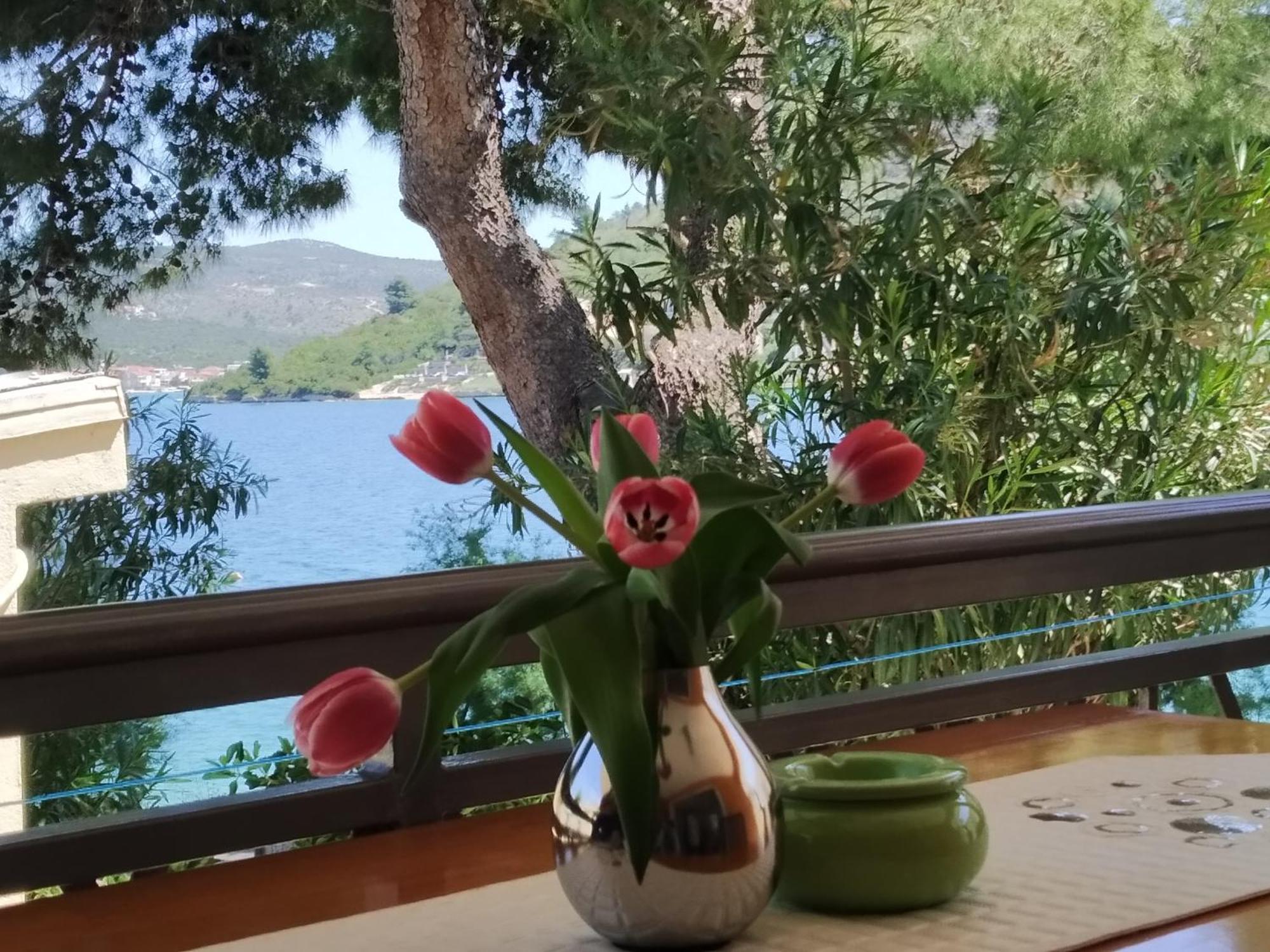 Holiday Home Milenka ロゴズニッツァ エクステリア 写真