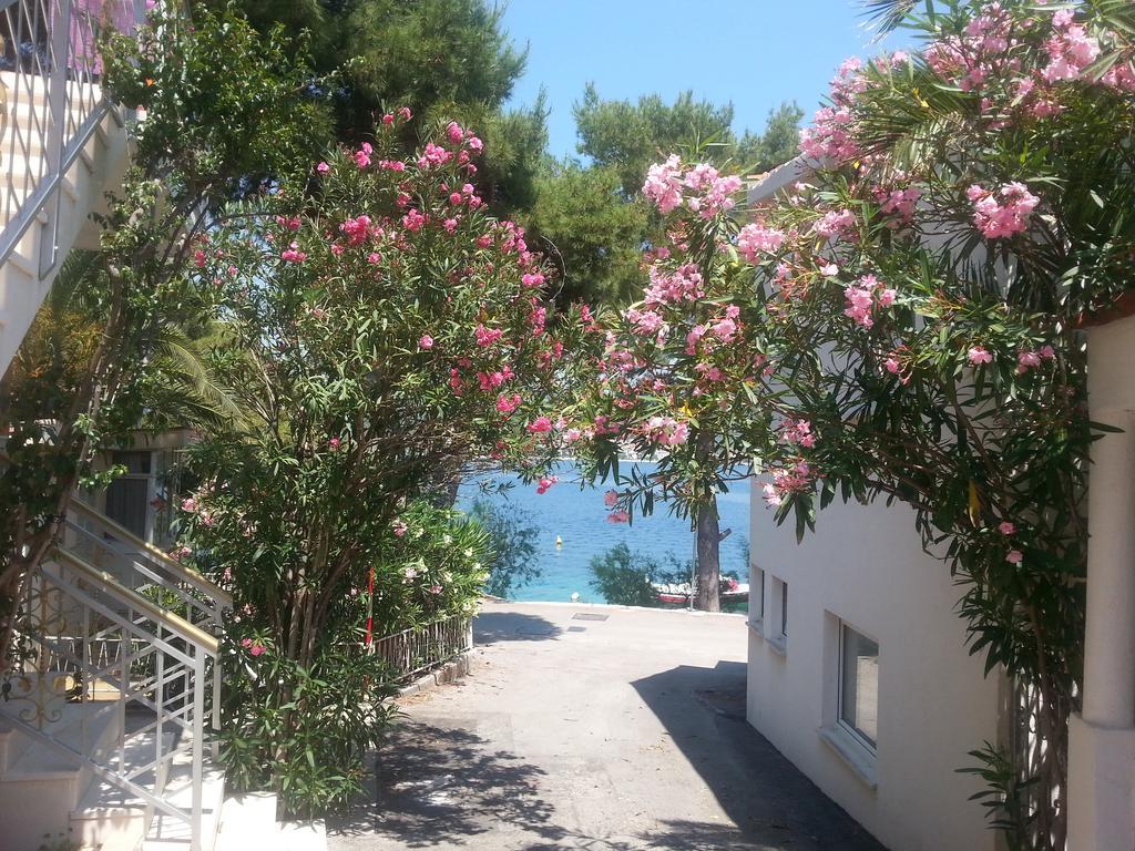 Holiday Home Milenka ロゴズニッツァ エクステリア 写真